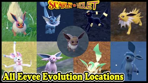 eevee evolution rule34|Eevee Pokédex: stats, moves, evolution & locations .